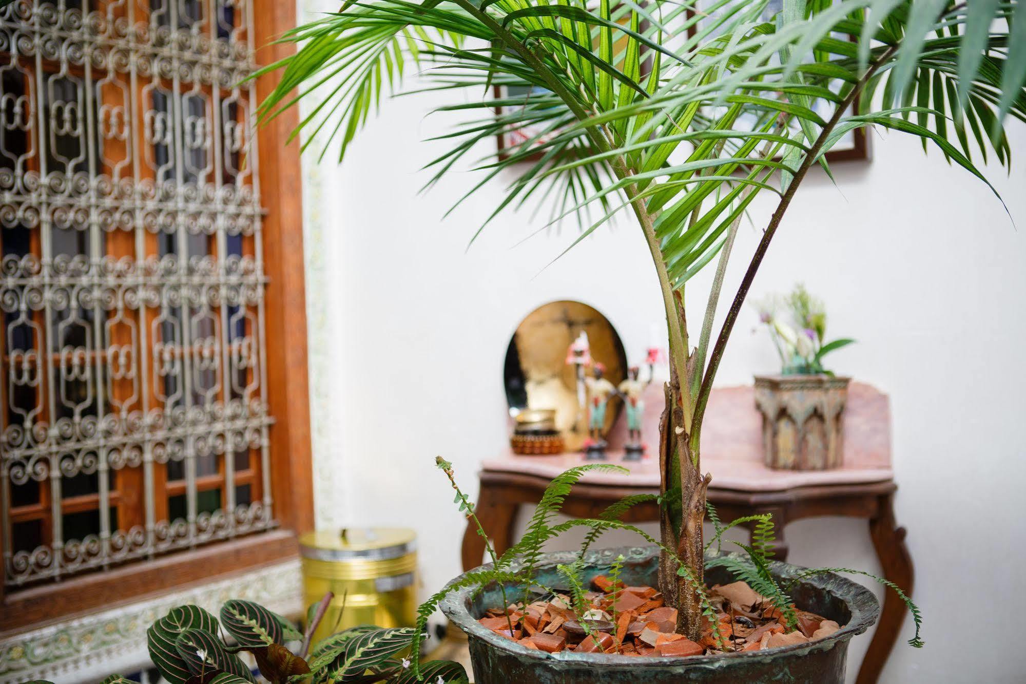Riad Idrissy Fes Exterior photo